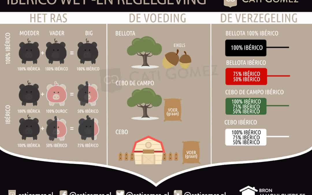 Ibérico wet -en regelgeving infografic